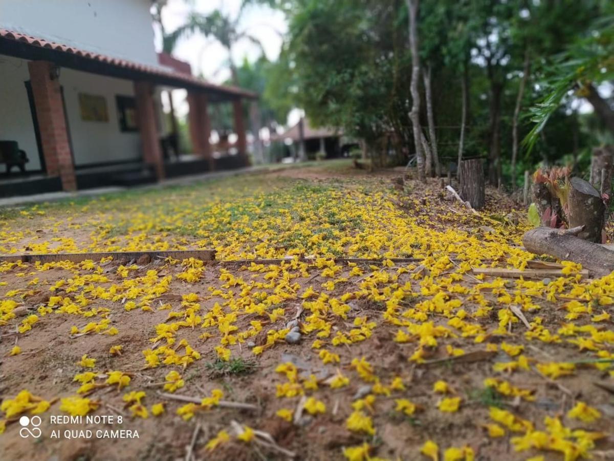 Casa Campo Emaus Caucasia 外观 照片